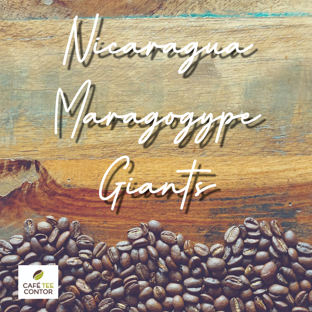 Kaffee Nicaragua Maragogype Giants