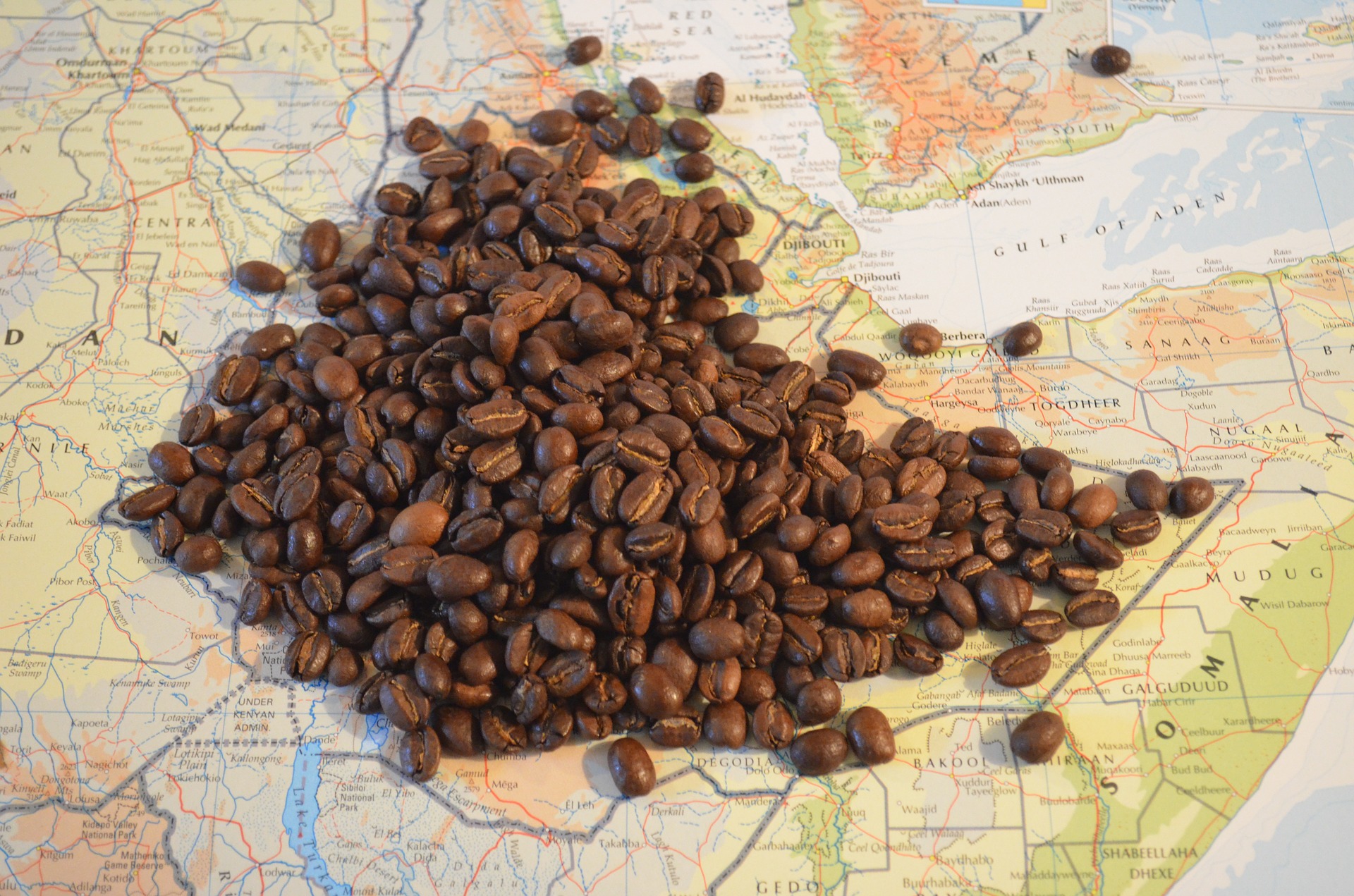 Kaffee Äthiopien Sidamo "Dream of Africa" 