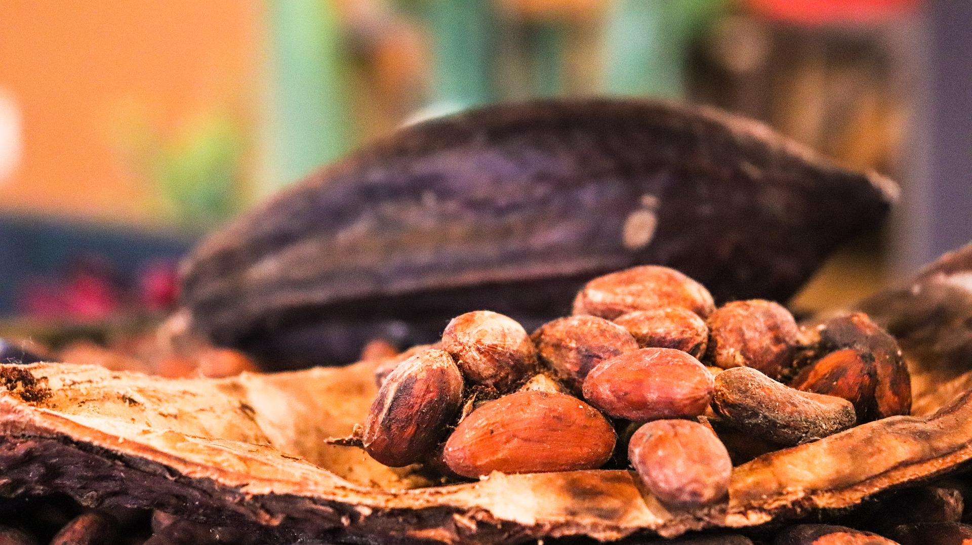 Kakao pur (100%) Das Getränk der Götter
