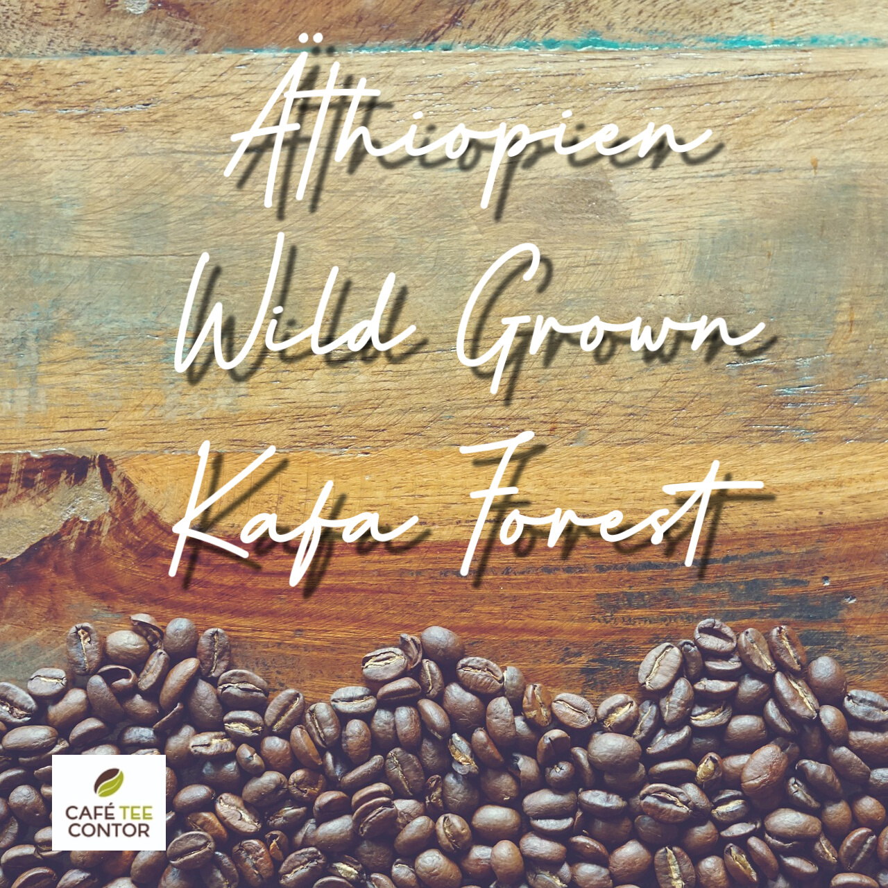 Kaffee Äthiopien Wild Grown Kafa Forest 